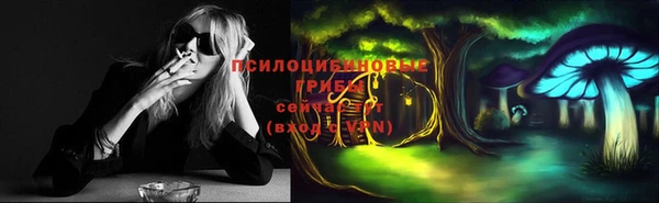 бошки Алексеевка