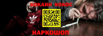 шишки Тара