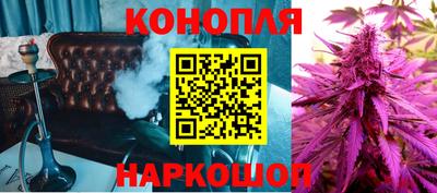 шишки Тара