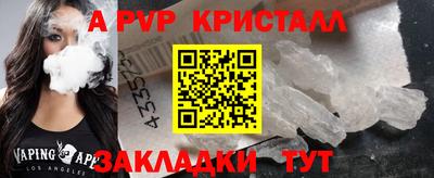 шишки Тара