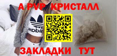 шишки Тара