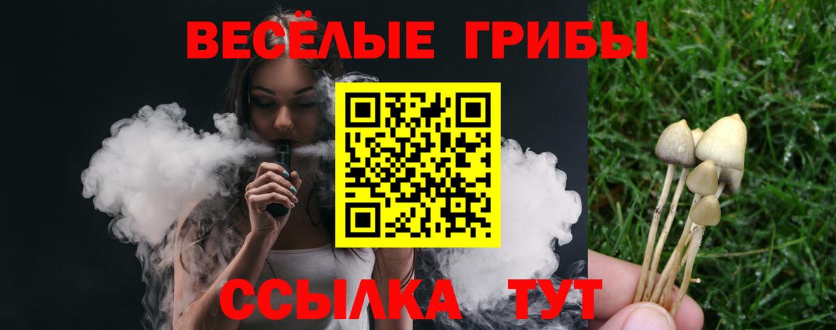 где купить наркотик  Вход с VPN  Псилоцибиновые грибы ЛСД  Тавда  Псилоцибиновые грибы Magic Shrooms 